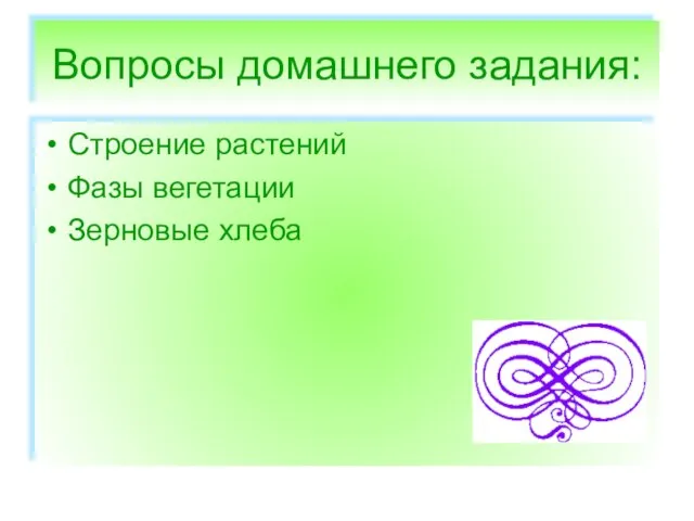 Вопросы домашнего задания: Строение растений Фазы вегетации Зерновые хлеба