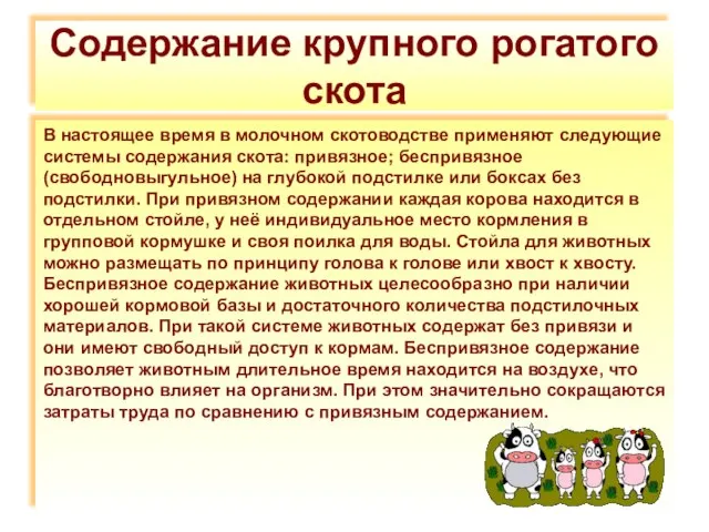 Содержание крупного рогатого скота В настоящее время в молочном скотоводстве применяют следующие