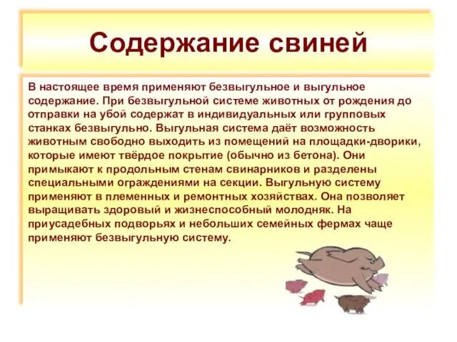 Содержание свиней В настоящее время применяют безвыгульное и выгульное содержание. При безвыгульной