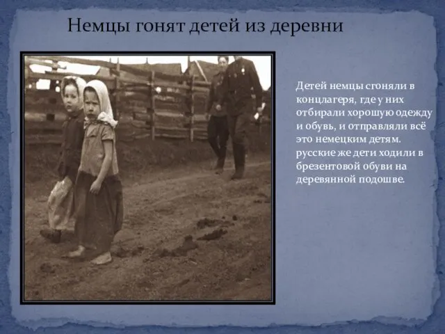 Немцы гонят детей из деревни Детей немцы сгоняли в концлагеря, где у