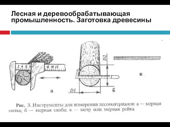 Лесная и деревообрабатывающая промышленность. Заготовка древесины