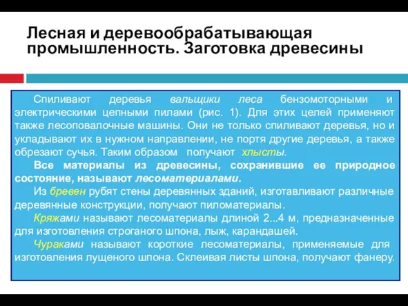 Лесная и деревообрабатывающая промышленность. Заготовка древесины Спиливают деревья вальщики леса бензомоторными и