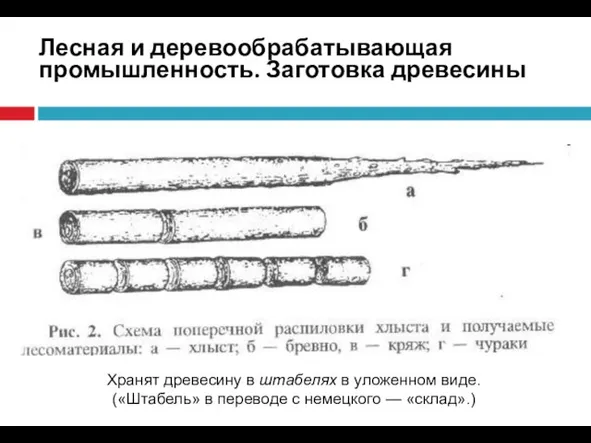 Лесная и деревообрабатывающая промышленность. Заготовка древесины Хранят древесину в штабелях в уложенном