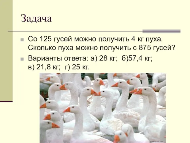 Задача Со 125 гусей можно получить 4 кг пуха. Сколько пуха можно