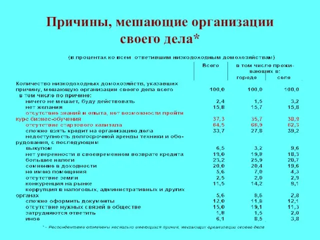 Причины, мешающие организации своего дела*