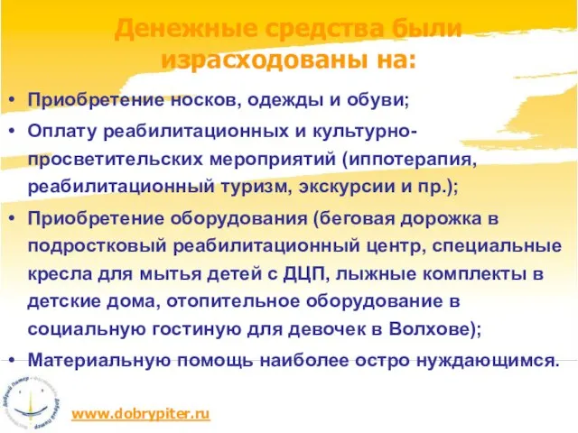 Приобретение носков, одежды и обуви; Оплату реабилитационных и культурно-просветительских мероприятий (иппотерапия, реабилитационный