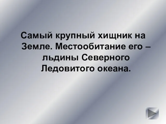 Самый крупный хищник на Земле. Местообитание его – льдины Северного Ледовитого океана.