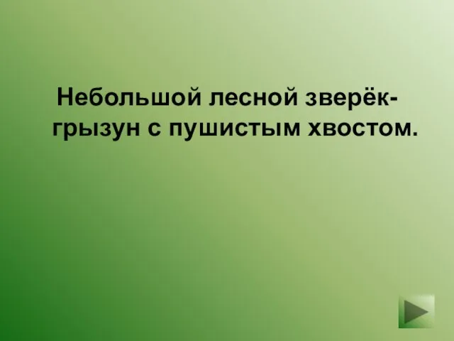 Небольшой лесной зверёк-грызун с пушистым хвостом.