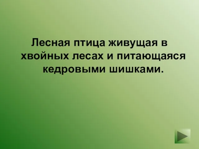 Лесная птица живущая в хвойных лесах и питающаяся кедровыми шишками.