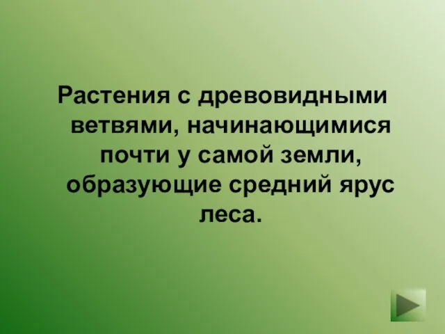 Растения с древовидными ветвями, начинающимися почти у самой земли, образующие средний ярус леса.