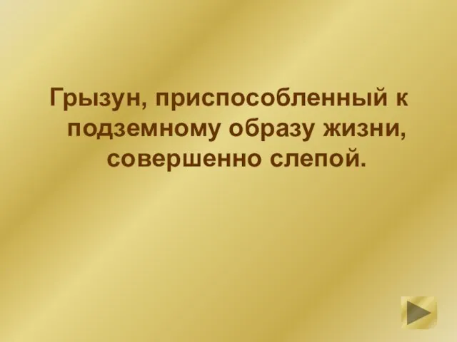 Грызун, приспособленный к подземному образу жизни, совершенно слепой.