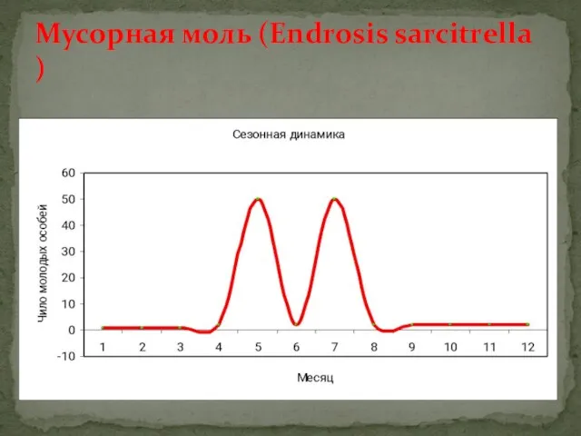 Мусорная моль (Endrosis sarcitrella )