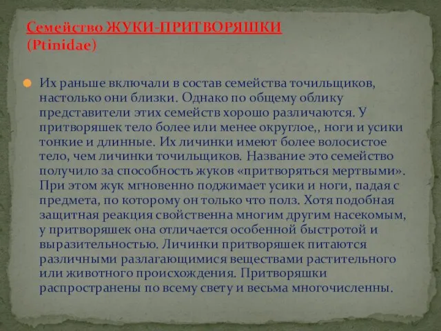 Их раньше включали в состав семейства точильщиков, настолько они близки. Однако по