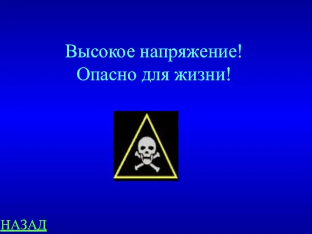 НАЗАД Высокое напряжение! Опасно для жизни!