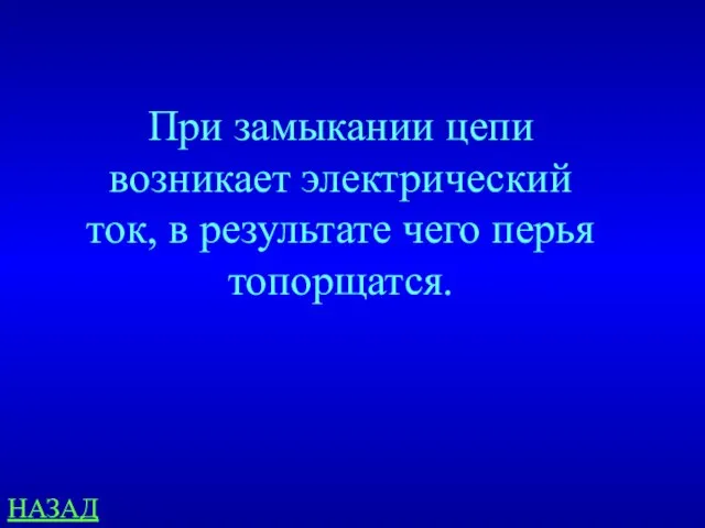 НАЗАД При замыкании цепи возникает электрический ток, в результате чего перья топорщатся.