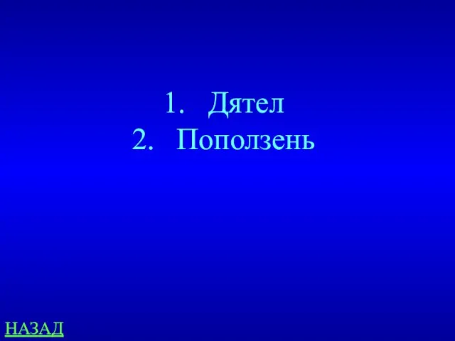 НАЗАД Дятел Поползень