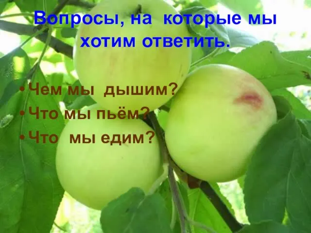 Вопросы, на которые мы хотим ответить. Чем мы дышим? Что мы пьём? Что мы едим?