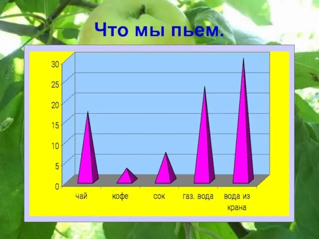 Что мы пьем.