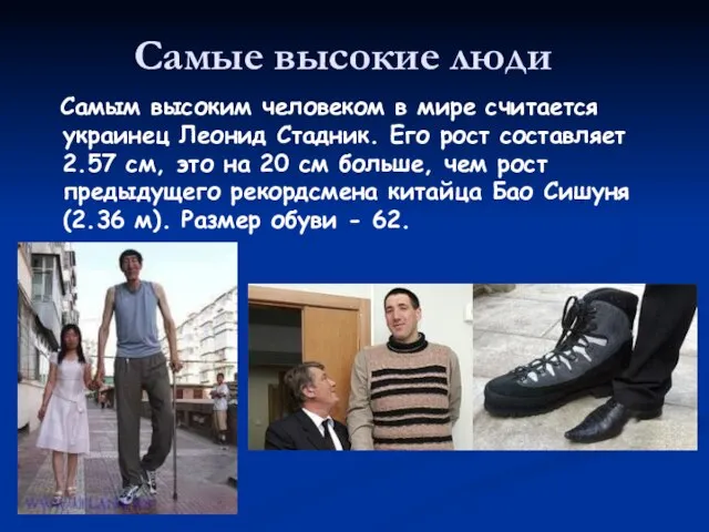 Самые высокие люди Самым высоким человеком в мире считается украинец Леонид Стадник.