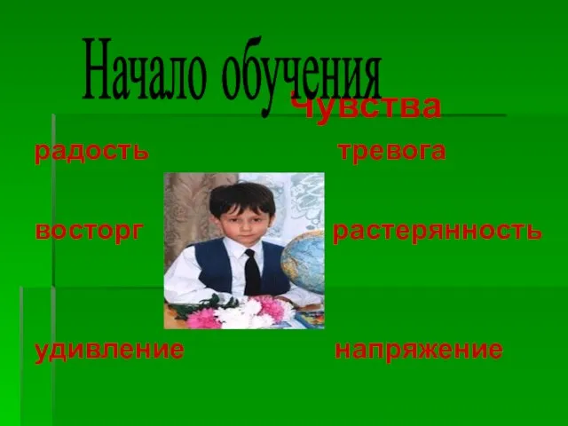 Чувства радость тревога восторг растерянность удивление напряжение Начало обучения