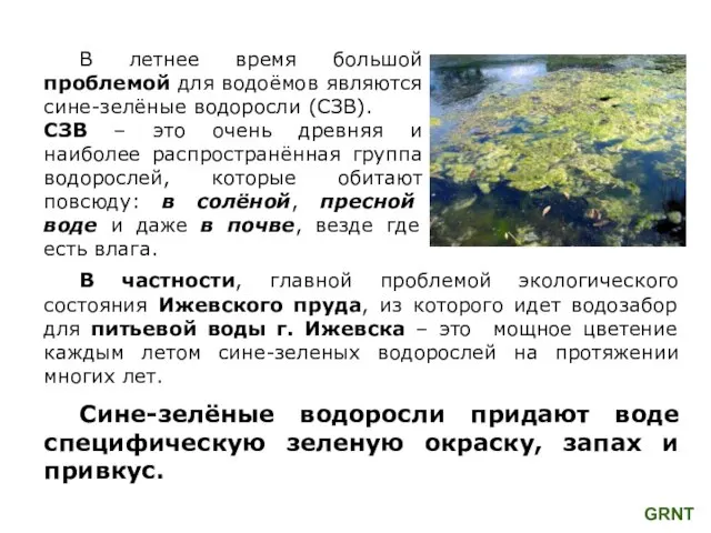 В частности, главной проблемой экологического состояния Ижевского пруда, из которого идет водозабор