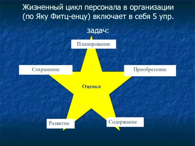 Жизненный цикл персонала в организации (по Яку Фитц-енцу) включает в себя 5