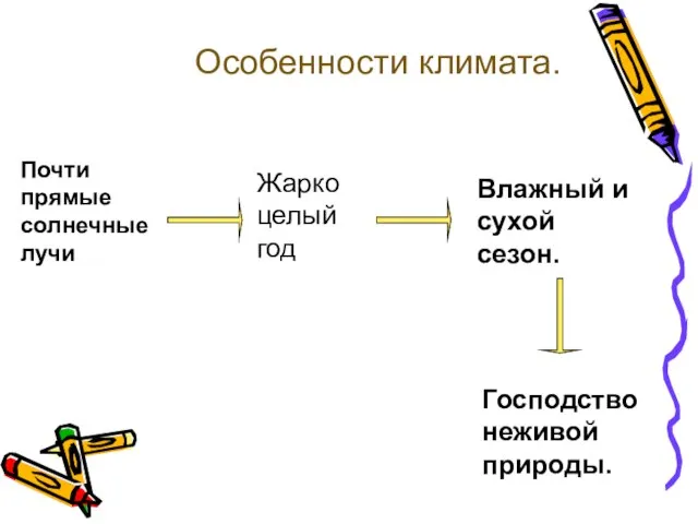 Особенности климата. Почти прямые солнечные лучи Жарко целый год Влажный и сухой сезон. Господство неживой природы.