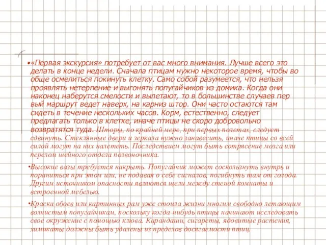 «Первая экскурсия» потребует от вас много внимания. Лучше всего это делать в