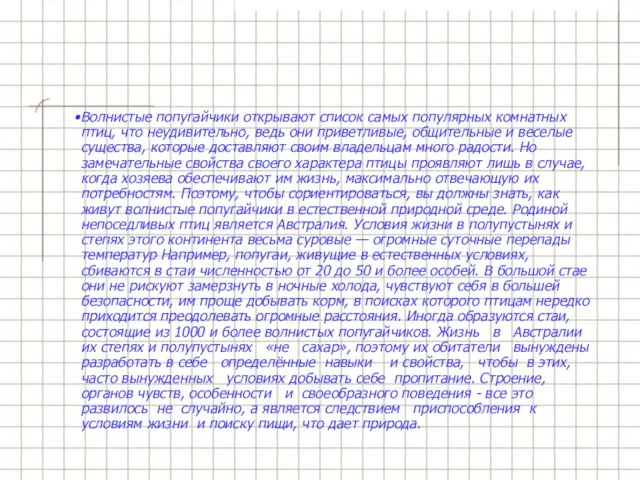 Волнистые попугайчики открывают список самых популярных комнатных птиц, что не­удивительно, ведь они