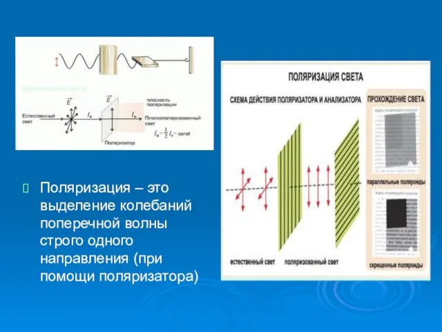 Поляризация – это выделение колебаний поперечной волны строго одного направления (при помощи поляризатора)