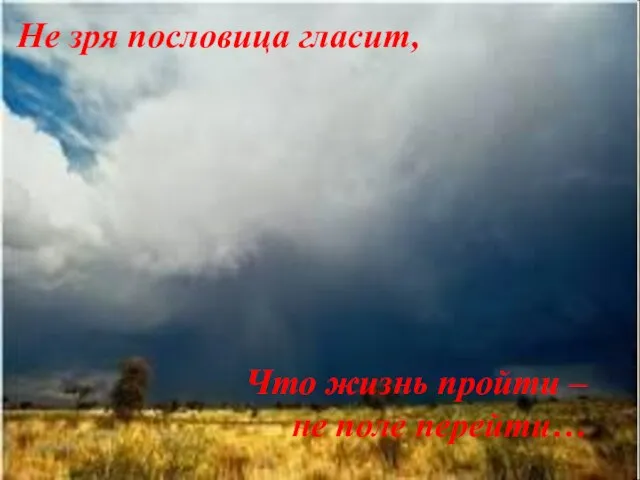 Не зря пословица гласит, Что жизнь пройти – не поле перейти…