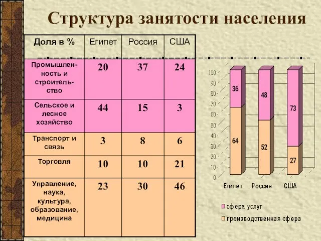 Структура занятости населения