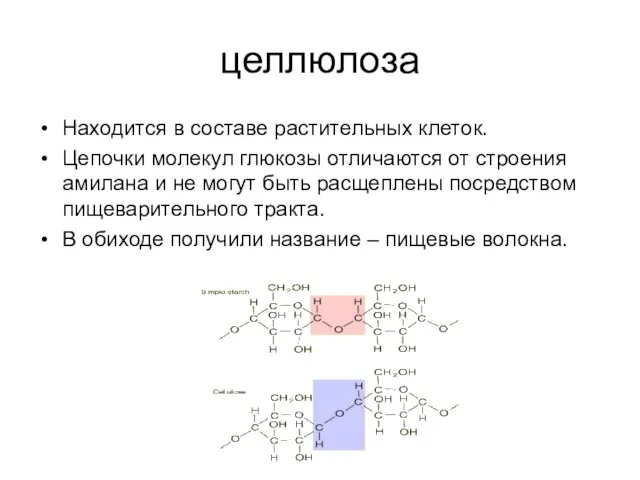 целлюлоза Находится в составе растительных клеток. Цепочки молекул глюкозы отличаются от строения