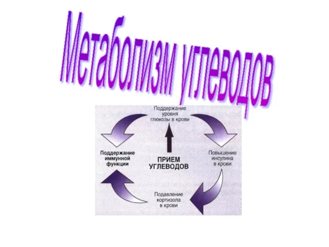 Метаболизм углеводов