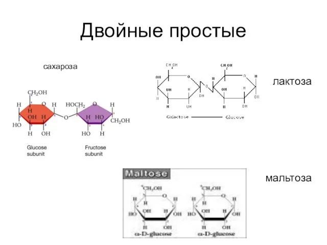 Двойные простые сахароза лактоза мальтоза