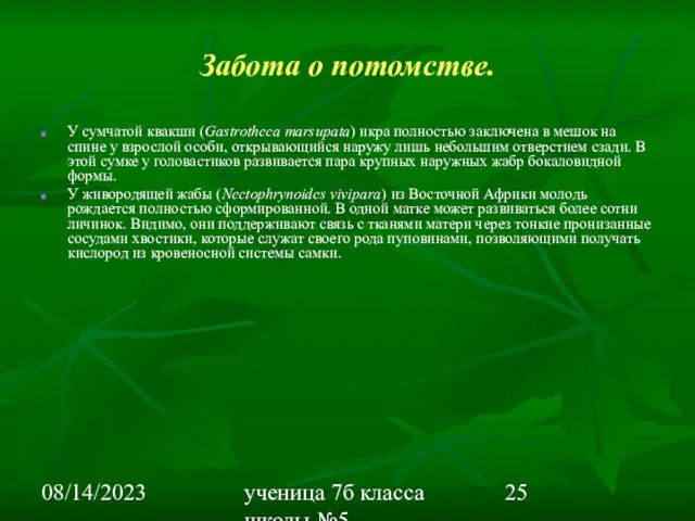 08/14/2023 ученица 7б класса школы №5 Вишневецкая Валерия Забота о потомстве. У