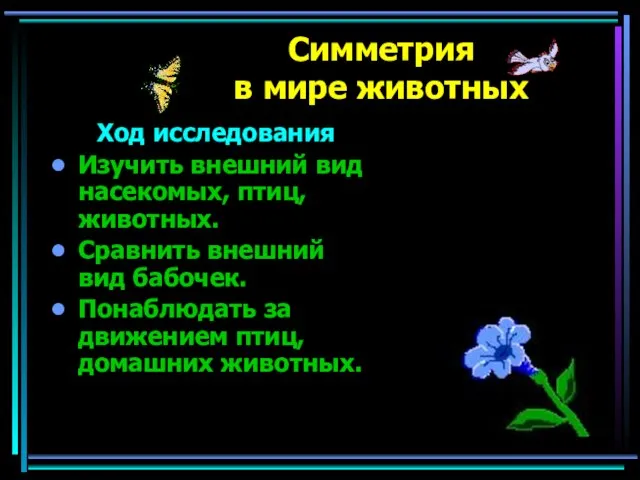 Симметрия в мире животных Ход исследования Изучить внешний вид насекомых, птиц, животных.