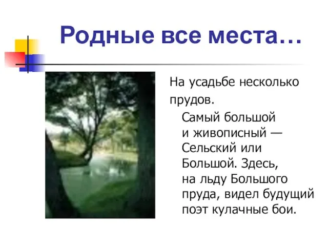 Родные все места… На усадьбе несколько прудов. Самый большой и живописный —