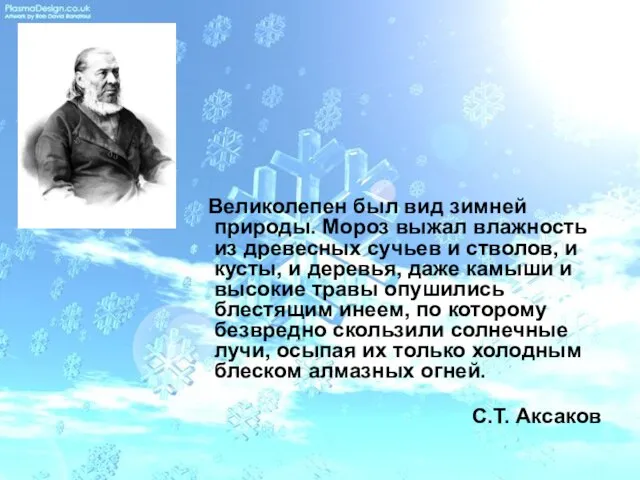 Великолепен был вид зимней природы. Мороз выжал влажность из древесных сучьев и