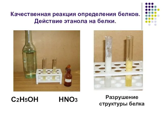 Качественная реакция определения белков. Действие этанола на белки. C2H5OH HNO3 Разрушение структуры белка