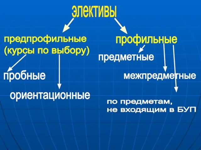 элективы предпрофильные (курсы по выбору) профильные пробные ориентационные предметные межпредметные по предметам, не входящим в БУП