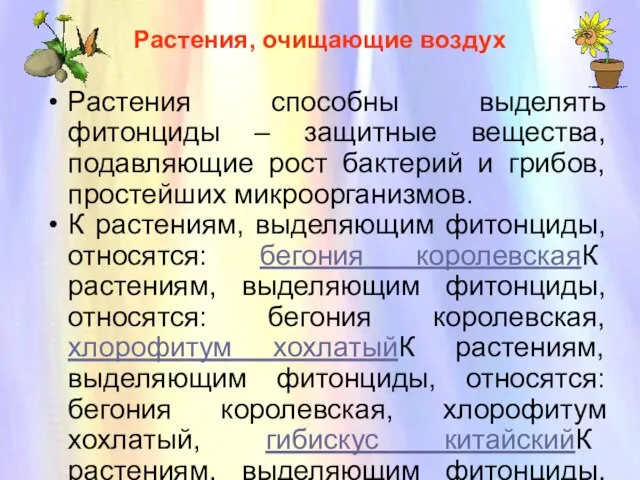 Растения, очищающие воздух Растения, очищающие воздух Растения способны выделять фитонциды – защитные