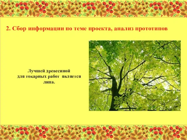 2. Сбор информации по теме проекта, анализ прототипов Лучшей древесиной для токарных работ является липа.