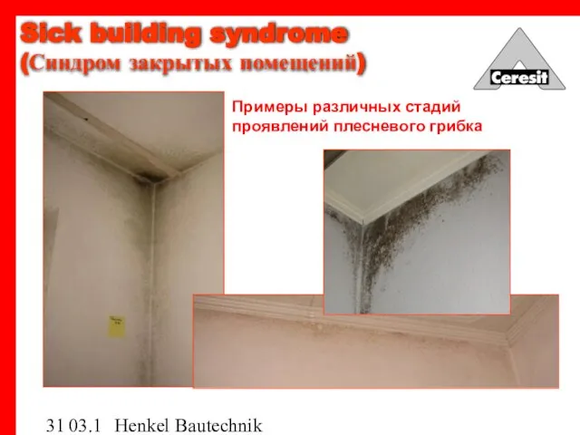 03.12.03 Henkel Bautechnik Sick building syndrome (Синдром закрытых помещений) Примеры различных стадий проявлений плесневого грибка