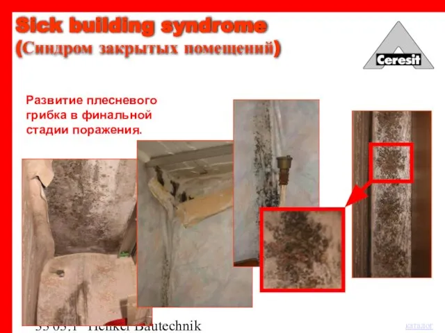 03.12.03 Henkel Bautechnik Развитие плесневого грибка в финальной стадии поражения. Sick building syndrome (Синдром закрытых помещений)