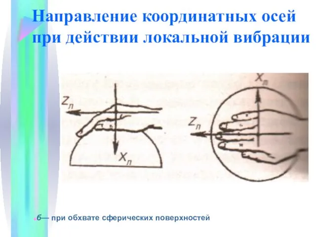 Направление координатных осей при действии локальной вибрации б— при обхвате сферических поверхностей