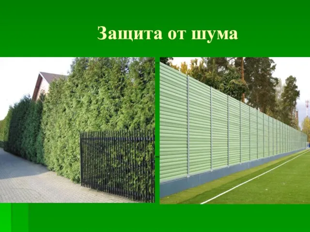 Защита от шума