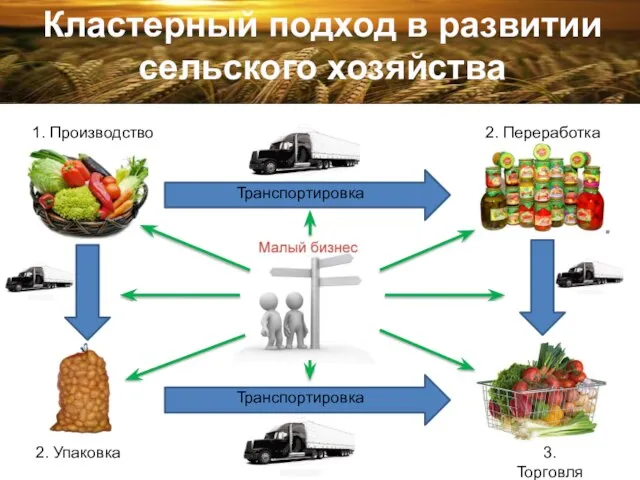 Кластерный подход в развитии сельского хозяйства 1. Производство 2. Переработка 2. Упаковка 3. Торговля