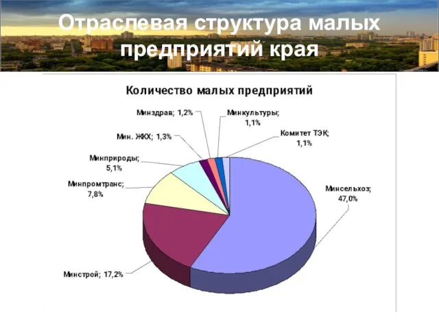 Отраслевая структура малых предприятий края