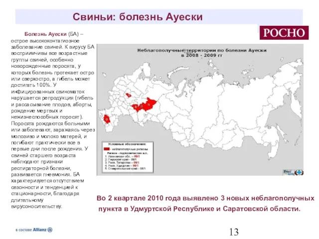 Свиньи: болезнь Ауески Болезнь Ауески (БА) – острое высококонтагиозное заболевание свиней. К